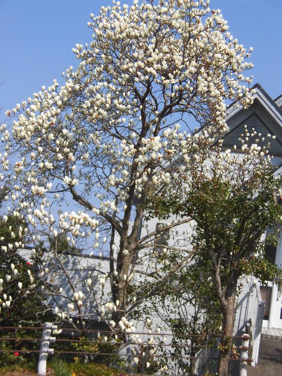 Holiday Home Apple Ito  Exterior photo